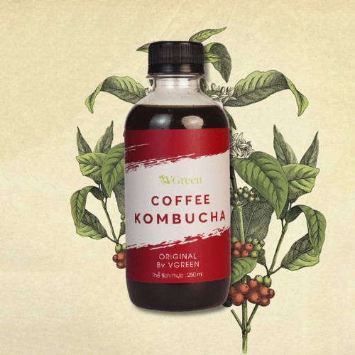 Coffee Kombucha 250ml